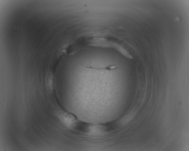 X0000082940336200702081630