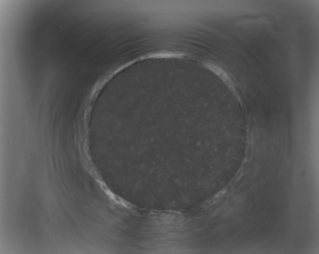 X0000082940337200702081629