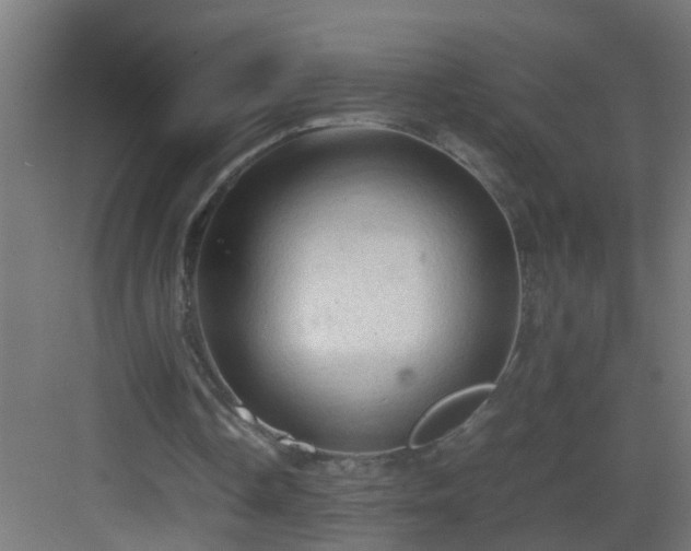 X0000082940338200702081629