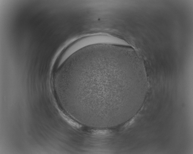 X0000082940342200702081629