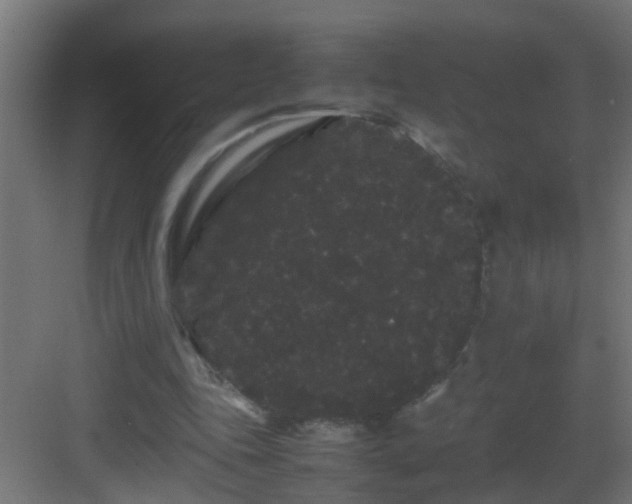 X0000082940343200702081629