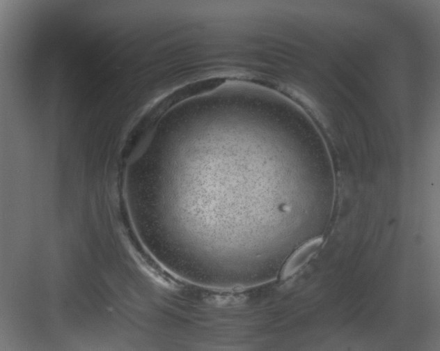 X0000082940345200702081629