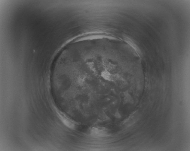 X0000082940346200702081629