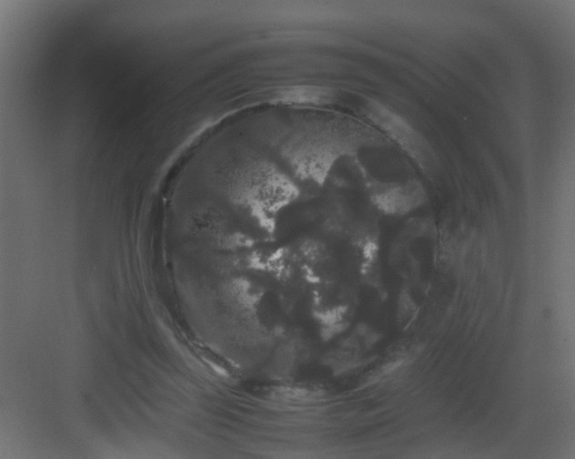 X0000082940347200702081629