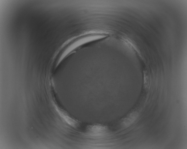 X0000082940348200702081629