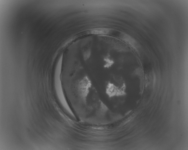 X0000082940349200702081629