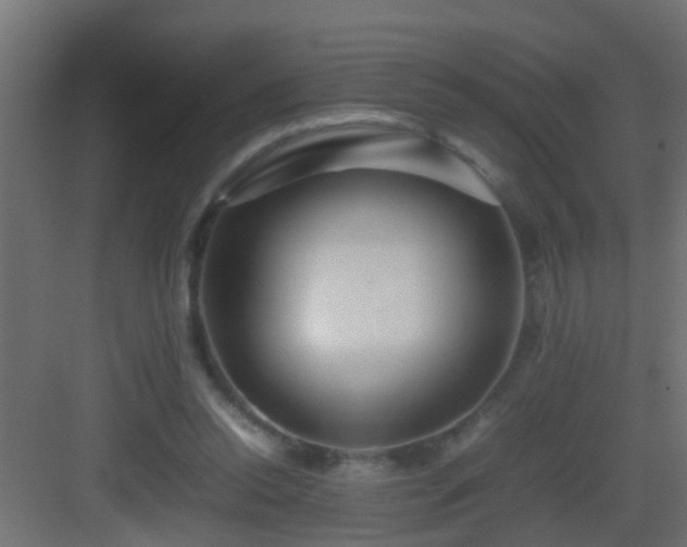 X0000082940350200702081629