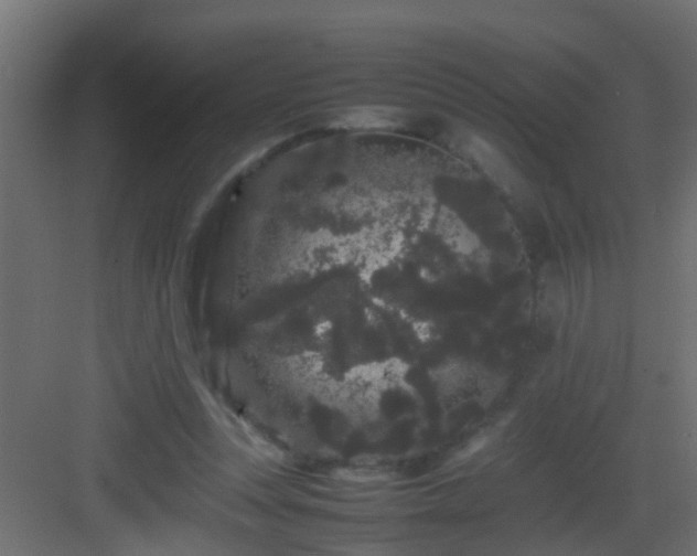 X0000082940351200702081629