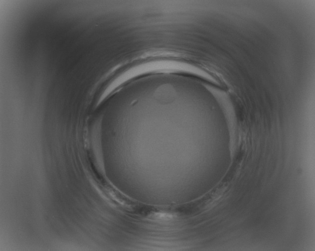 X0000082940352200702081629