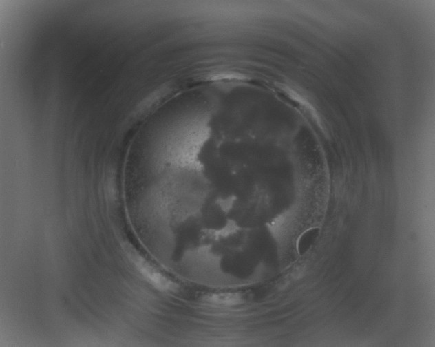 X0000082940353200702081629