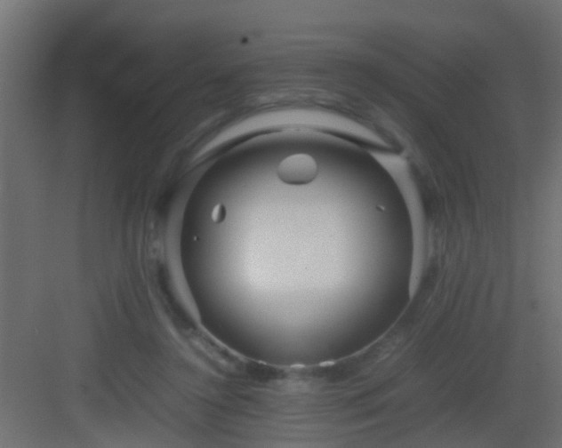 X0000082940356200702081629