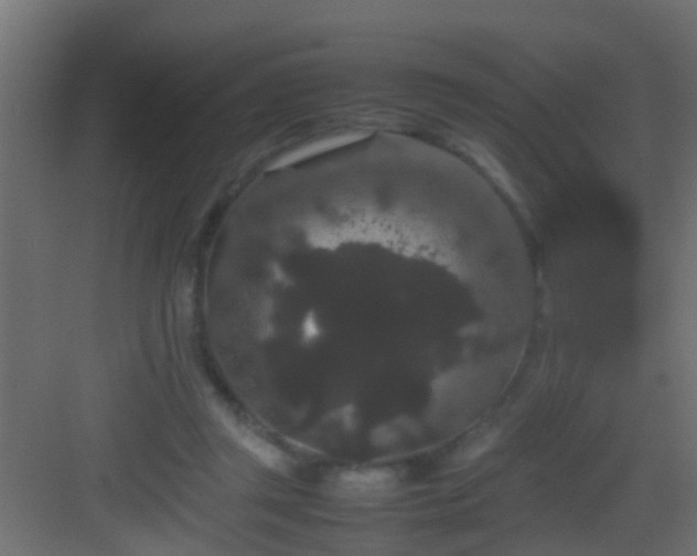 X0000082940357200702081629