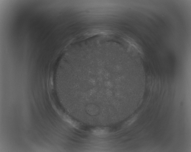 X0000082940358200702081629