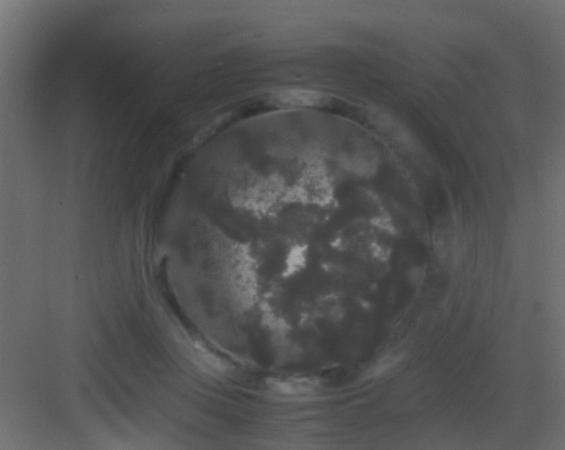 X0000082940359200702081629