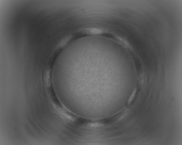 X0000082940360200702081629