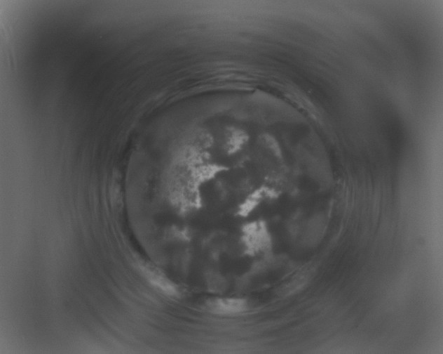 X0000082940361200702081629