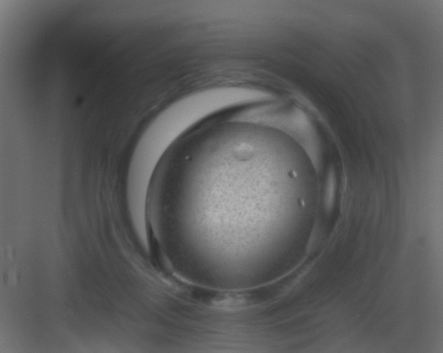 X0000082940362200702081629