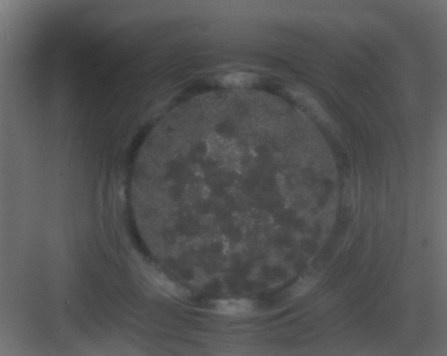 X0000082940363200702081629