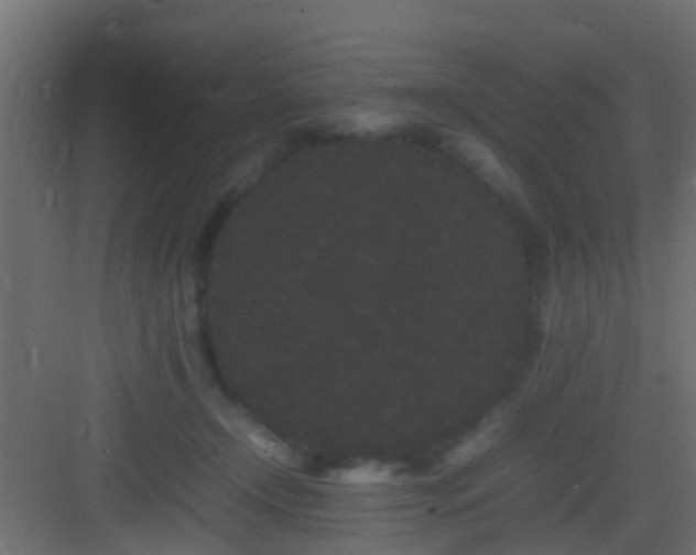 X0000082940366200702081630