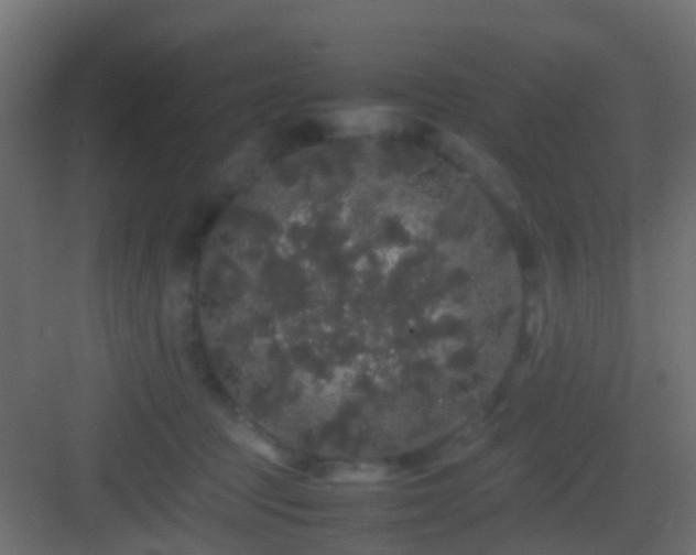 X0000082940369200702081630