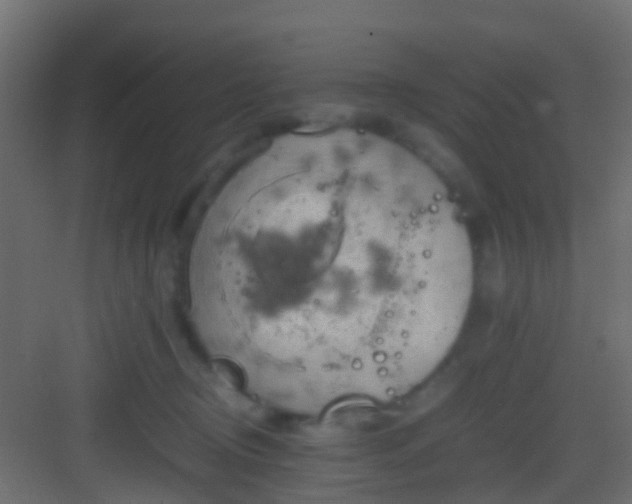 X0000082940370200702081630