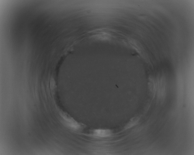 X0000082940371200702081630