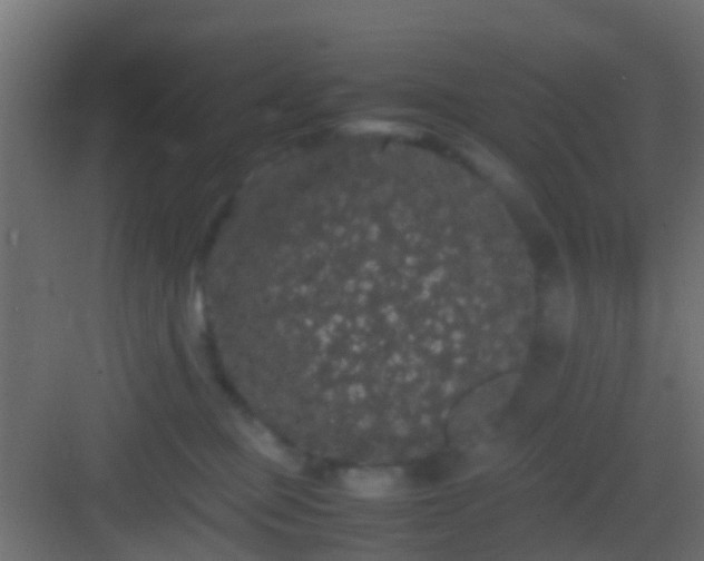 X0000082940373200702081630