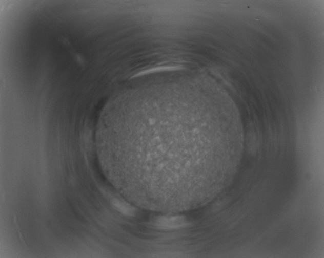 X0000082940375200702081630