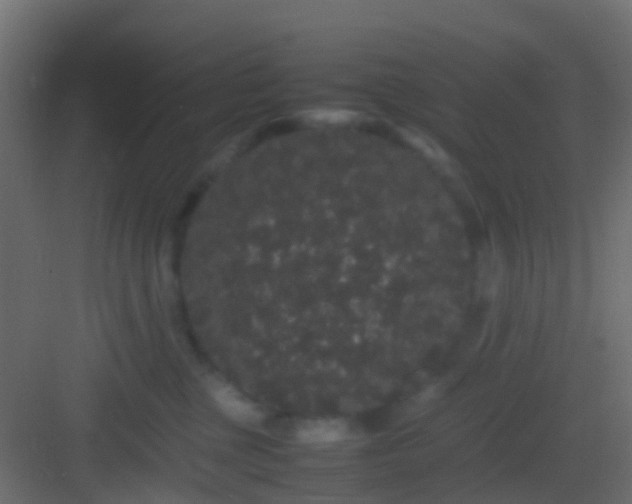 X0000082940377200702081630