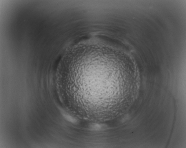 X0000082940379200702081630