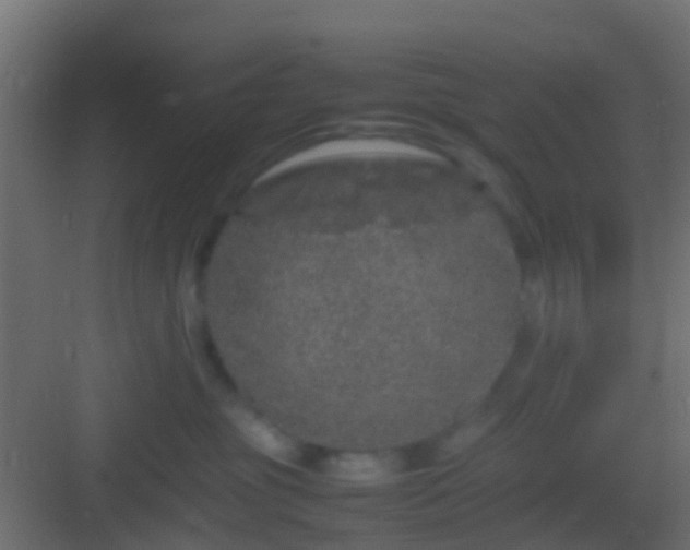 X0000082940381200702081630