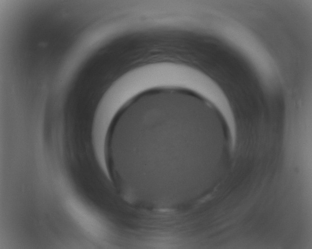 X0000082940382200702081630