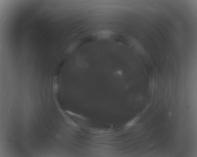 X0000082940383200702081630