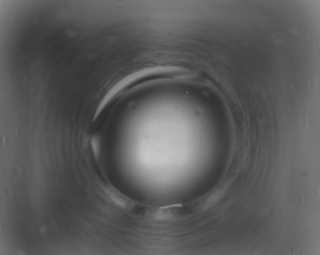 X0000082940384200702081630