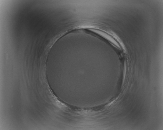 X0000082940385200702081629