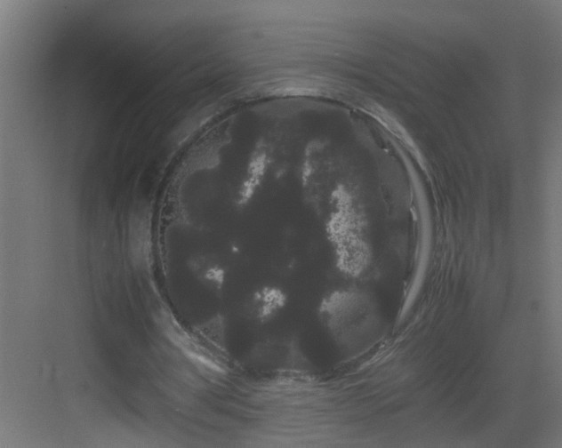 X0000082940386200702081629