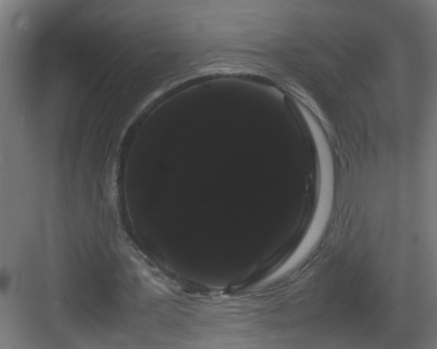 X0000082940387200702081629