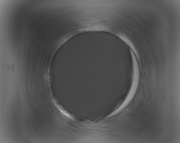 X0000082940389200702081629