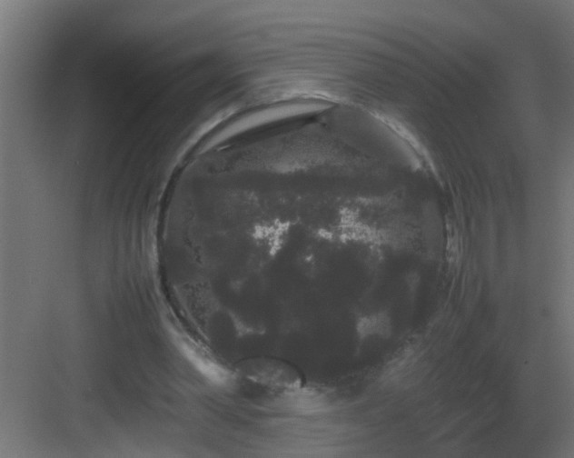 X0000082940390200702081629