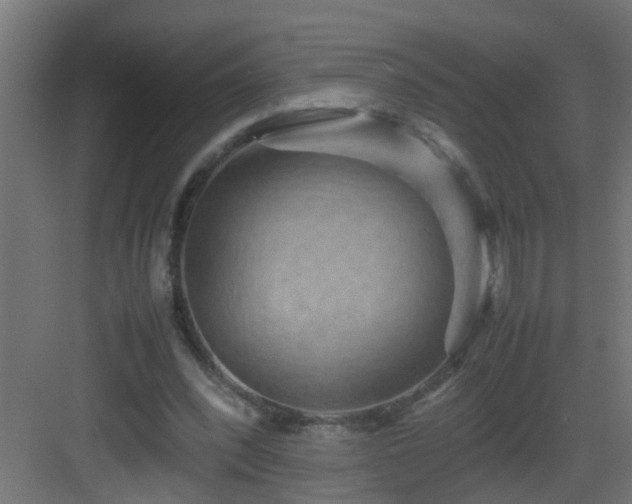 X0000082940392200702081629