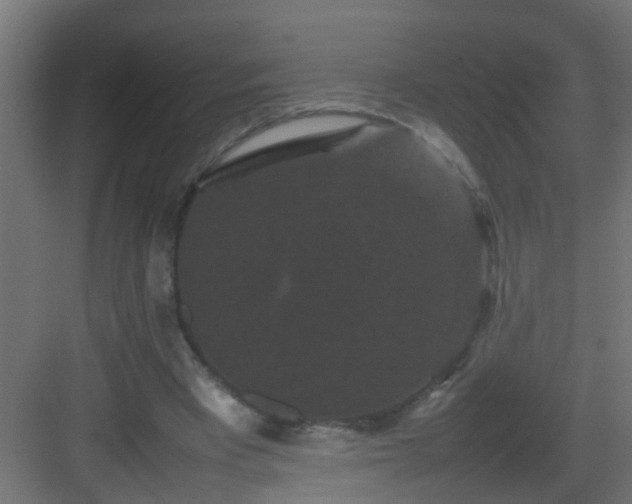 X0000082940393200702081629