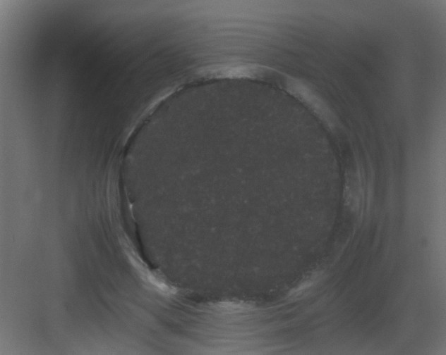 X0000082940394200702081629