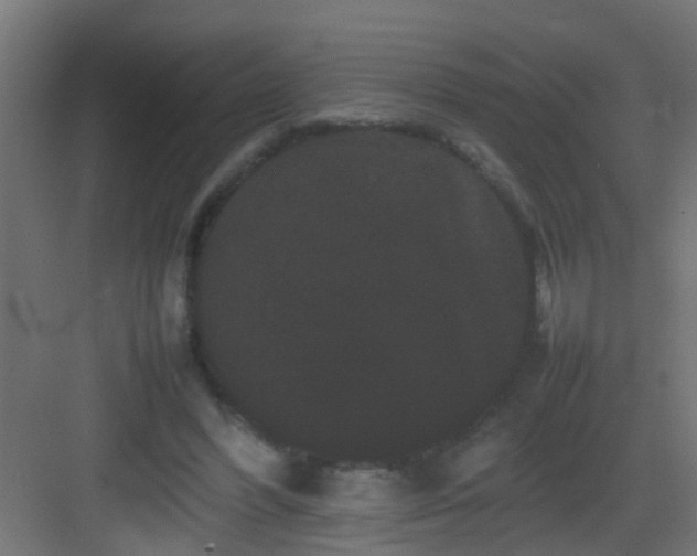 X0000082940396200702081629