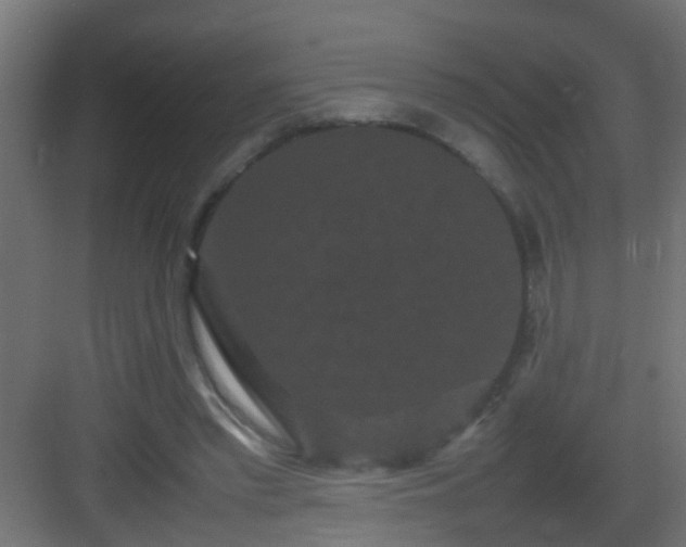 X0000082940397200702081629