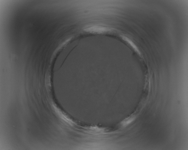 X0000082940399200702081629