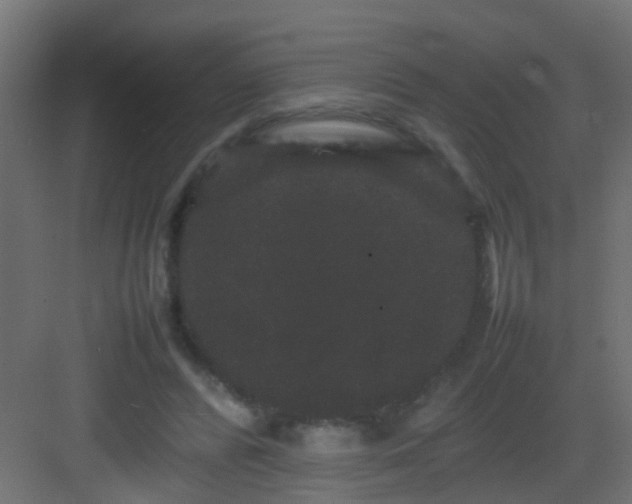 X0000082940400200702081629