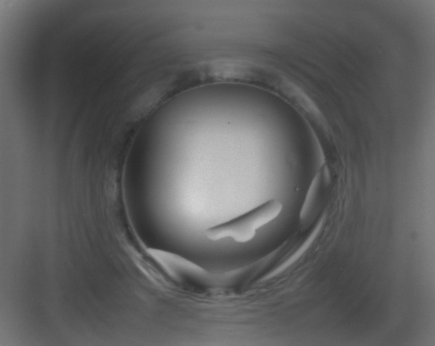 X0000082940401200702081629