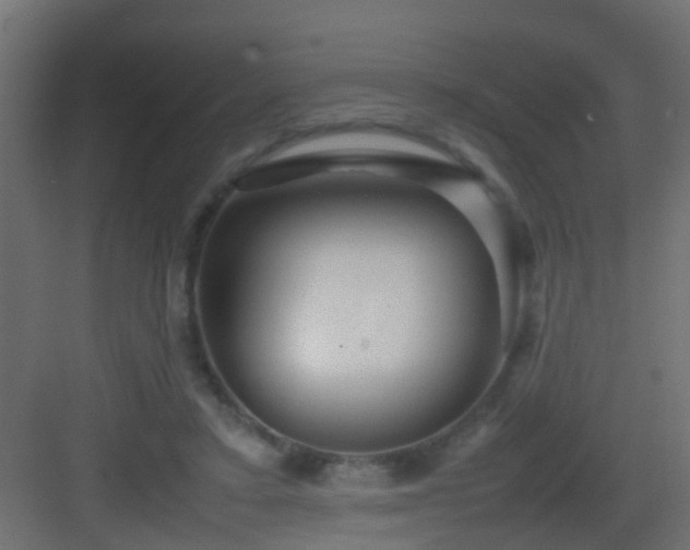 X0000082940403200702081629