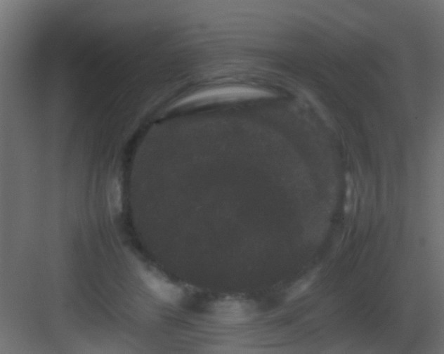 X0000082940404200702081629