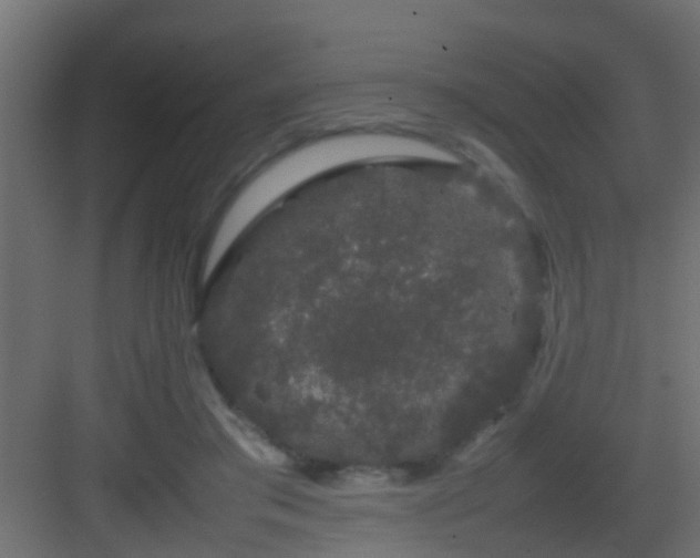 X0000082940405200702081629